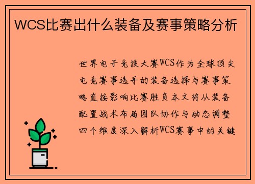 WCS比赛出什么装备及赛事策略分析
