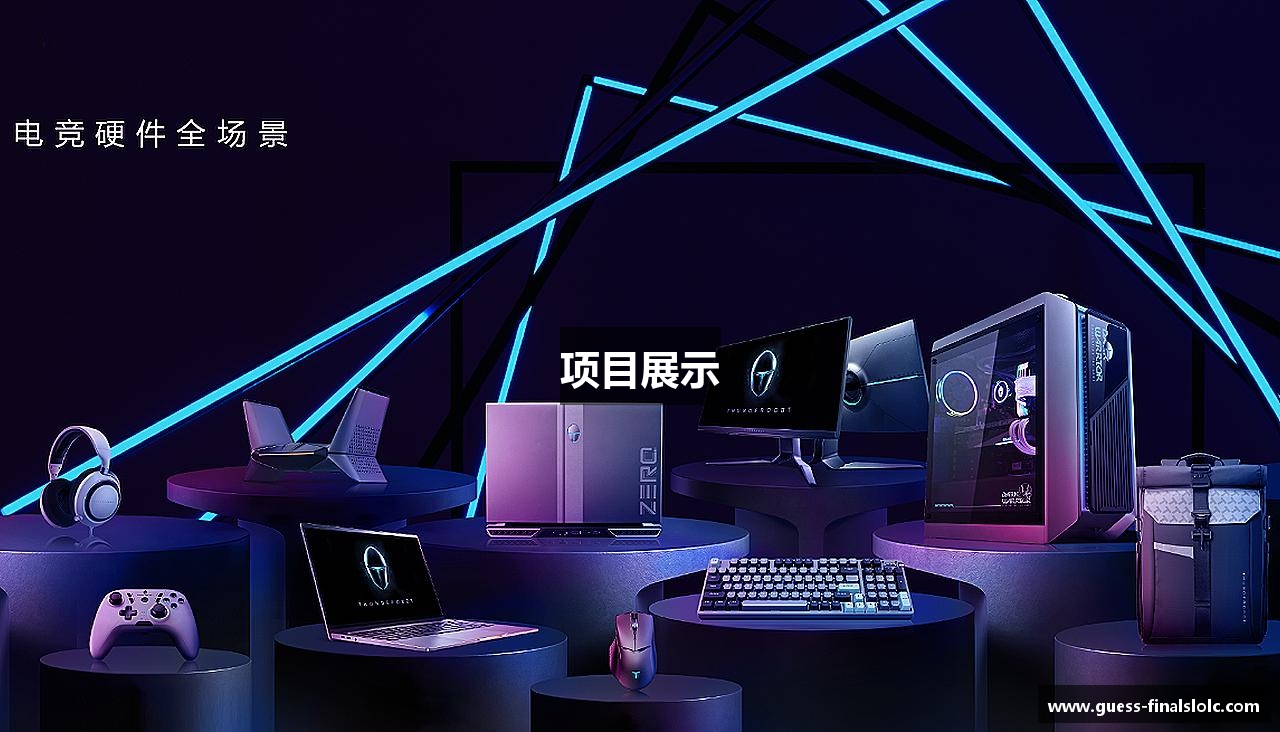 项目展示